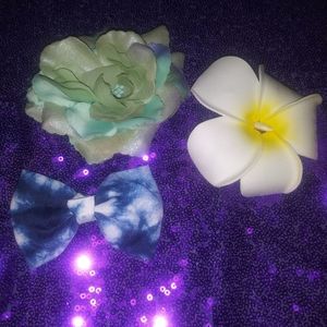 Nwot Lot of 3 hair clips